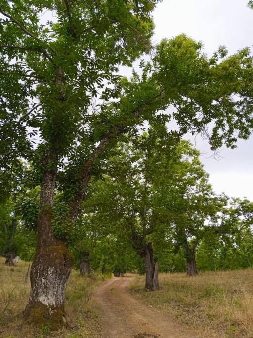 Vivienda Rural Sentirte 2 Centro De Aracena Apartman Kültér fotó